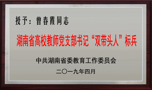 湖南省高校教师党支部书记“双带头人”标兵