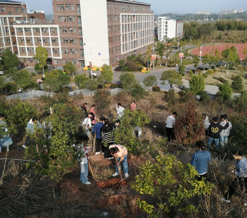 种一棵小树，绿一方净土——澳门永利官网进入组织开展2022年植树周活动